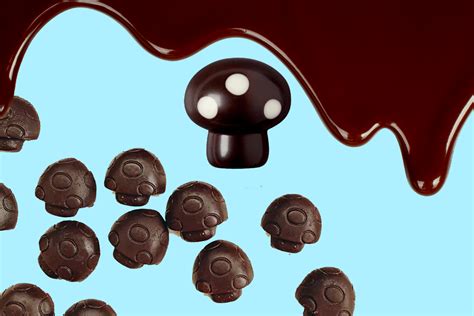 Introducing Magic Mushroom Chocolate Kits on Etsy